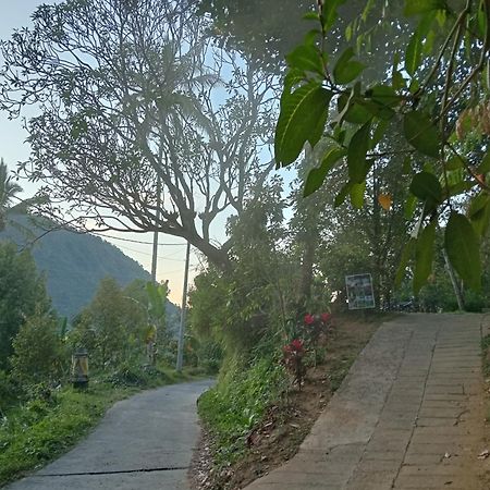 Jepun Homestay Lemukih Singaraja Zewnętrze zdjęcie