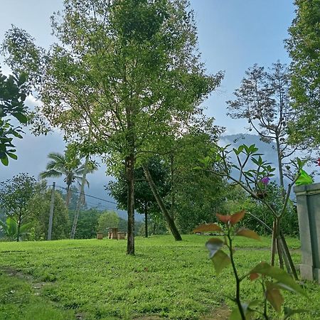 Jepun Homestay Lemukih Singaraja Zewnętrze zdjęcie