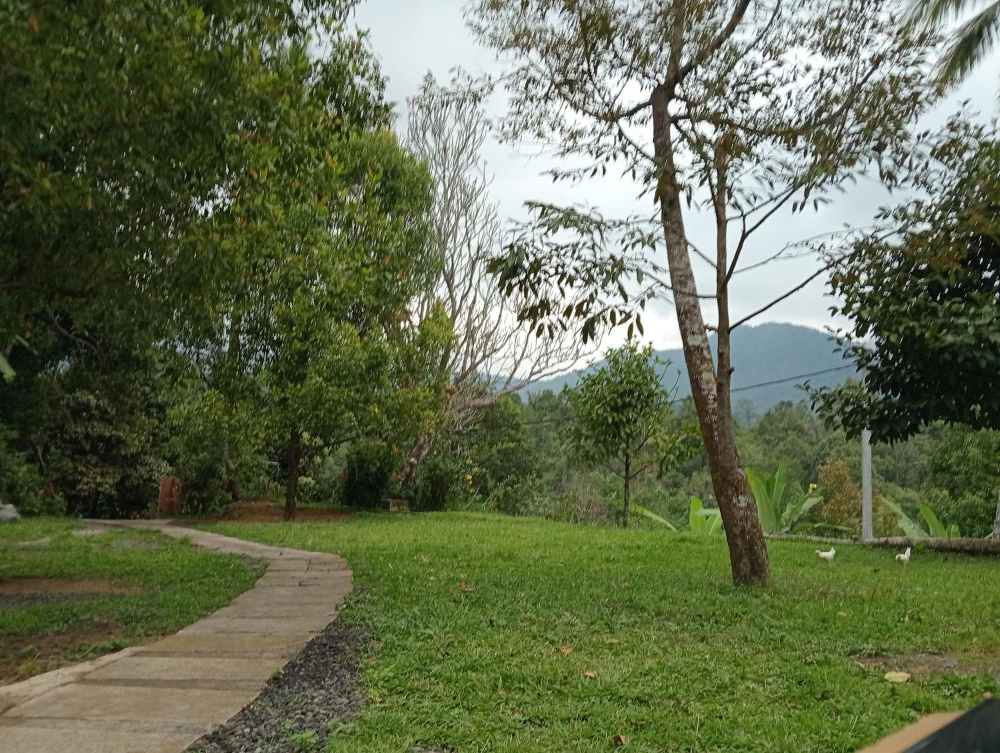 Jepun Homestay Lemukih Singaraja Zewnętrze zdjęcie